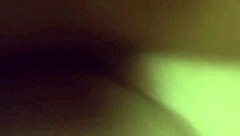 Is this sofa ready for our wild test?