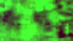 eat my pussy like a good girl, you slut