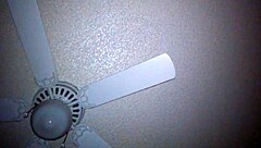 Imagine squirting wildly with toys and shaved amateurs—can you handle it?