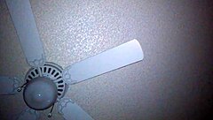 Imagine squirting wildly with toys and shaved amateurs—can you handle it?