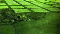 I bound her ass with a sexy butt plug.