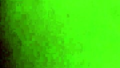 damn, that white girl gives killer head!