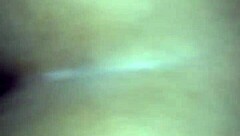 In the casual tale of backseat adventures, friends share buckshots from their road trip