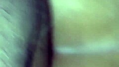 In the casual tale of backseat adventures, friends share buckshots from their road trip