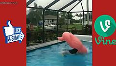 Best Fucking Pussy Video Ever