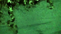 Hardcore Black Booty Backshots with Rough Pounding