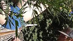 Hot suck and fuck in the 420 patch!