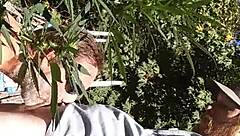 Hot suck and fuck in the 420 patch!