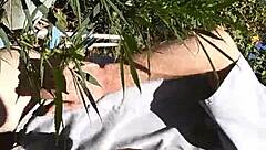 Hot suck and fuck in the 420 patch!