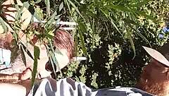 Hot suck and fuck in the 420 patch!