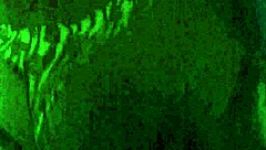 creampie fun with amateurs