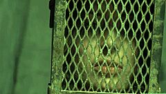 anal castigation leads to intense squirting session