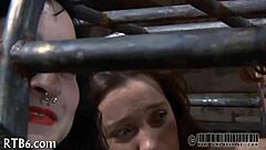 GET FREE sadomasochism erotica NOW!