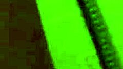 cute cutie gives pov blowjob and gets her tight kitty banged hard in wild action