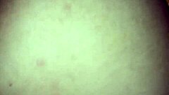 i'm havin sex wit my wfe, she's a pornstr