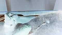 hard italian cock cumming from masturbation 😏