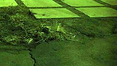 teen pantie grinding unless youre from the sixties and delve that