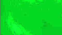 sexy blonde milf sucks huge cock in homemade video