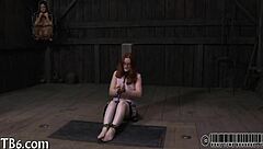 free sadomasochism erotica for your pleasure 😈