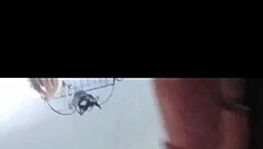 Who wants this early morning wood?