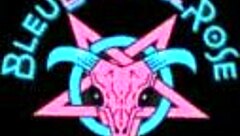 Join Bleubrutalrose in a fun Guantanamo Bae roleplay scenario.