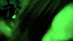 Harmony sucks Eefah's big black cock!