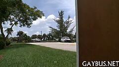 Bear guys having casual homo sex