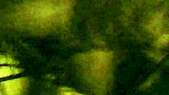 i'm throat babiieee, loving this latina deepthroat on black cock, sucking it so deep it hurts!!