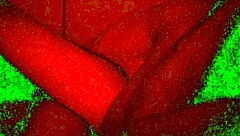 Rough Face Fucking In Bad Light