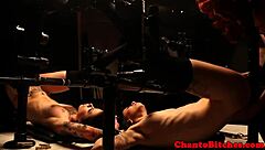 कल्पना करो, लेज्डॉम मिस्ट्रेस बाउंड सबमिसिव्स को इंटेंस बॉन्डेज सेशन में डोमिनेट करती