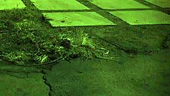 Teen 18+ solo fingering and squirting in high definition video