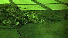 Teen 18+ solo fingering and squirting in high definition video