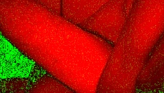 i fucked my couple rough, face fucking with natural tits in bad light