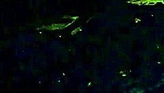 Is Christal1 Ready to Suck Your Cock in This Blowjob?