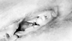 Fuck me with big tits and ass using toys and dildo!