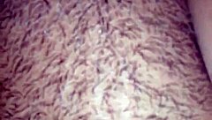 Hairy big tits and ass of my tasty culona get homemade fun