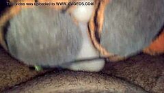 masturbating with a toy in private