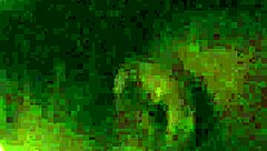 Sucking Big Black Cock Deep