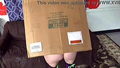 स्टोरीलाइन