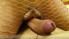 exploring alternate existence in game 41