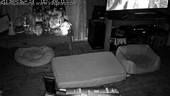 My wife gives the best blowjobs