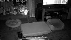 My wife gives the best blowjobs