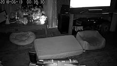 My wife gives the best blowjobs