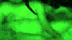 i love watching lucia red with her couple sex scenes.