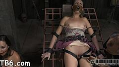 b of babes bottom featuring a hot babe in casual narrative