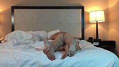 hot tatted petite chick gets slammed hard in rough session