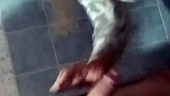 irreversible sin retorno update 92 i fuck my girlfriend really good nov 29 2024