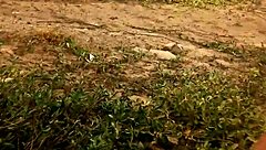 just a casual vid of gay masturbation from february 15, 2016.