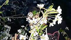 I Got Wild with a Stranger at Home After the Park