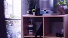 Why does my slutty stepsister never say no? Natalie Brooks caught in voyeur roleplay.